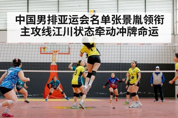 volleyball match action